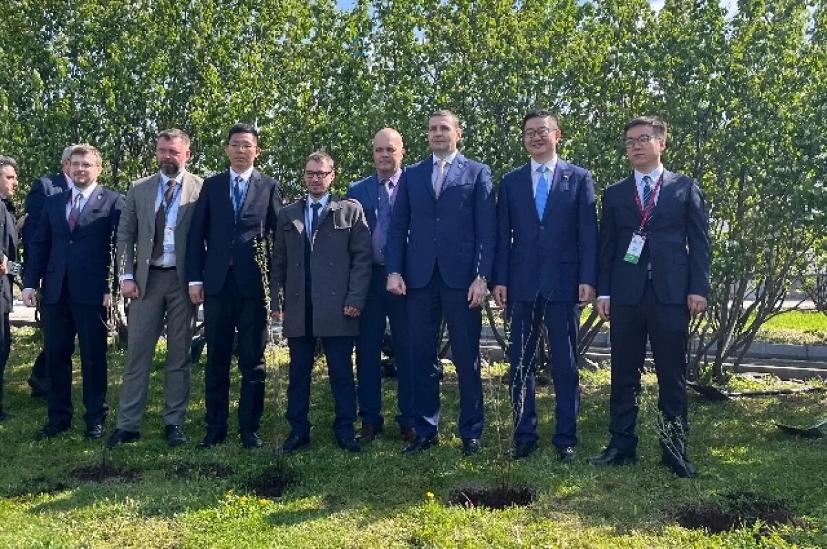    В Хабаровске посадили Аллею Дружбы в честь 30-летия связей с Китаем