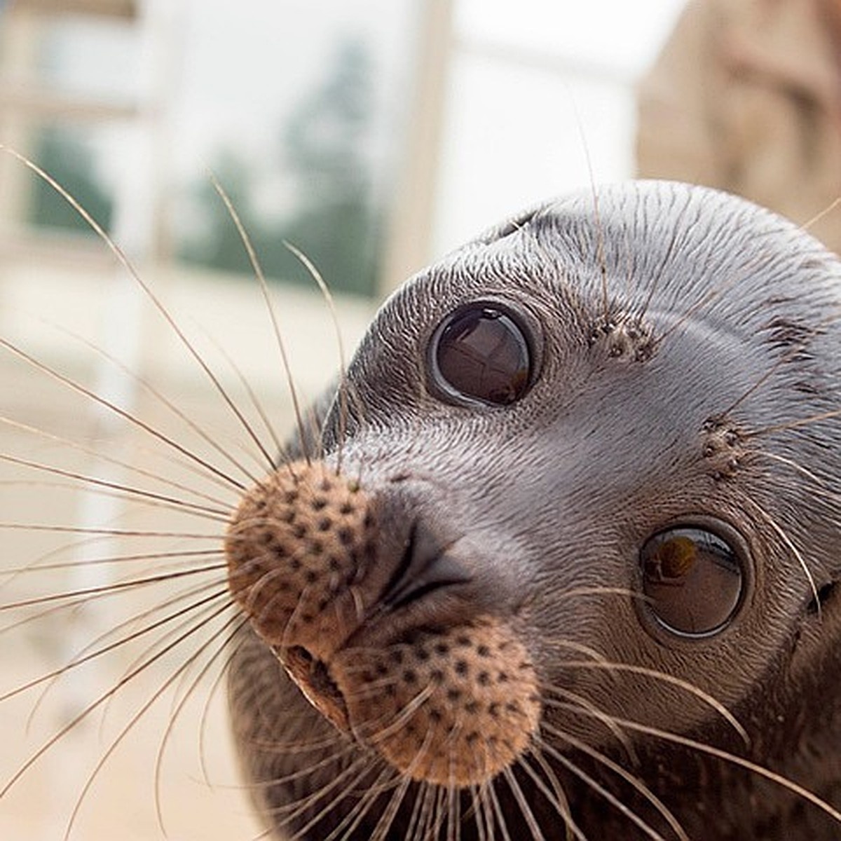 Источник: spb.kp.ru