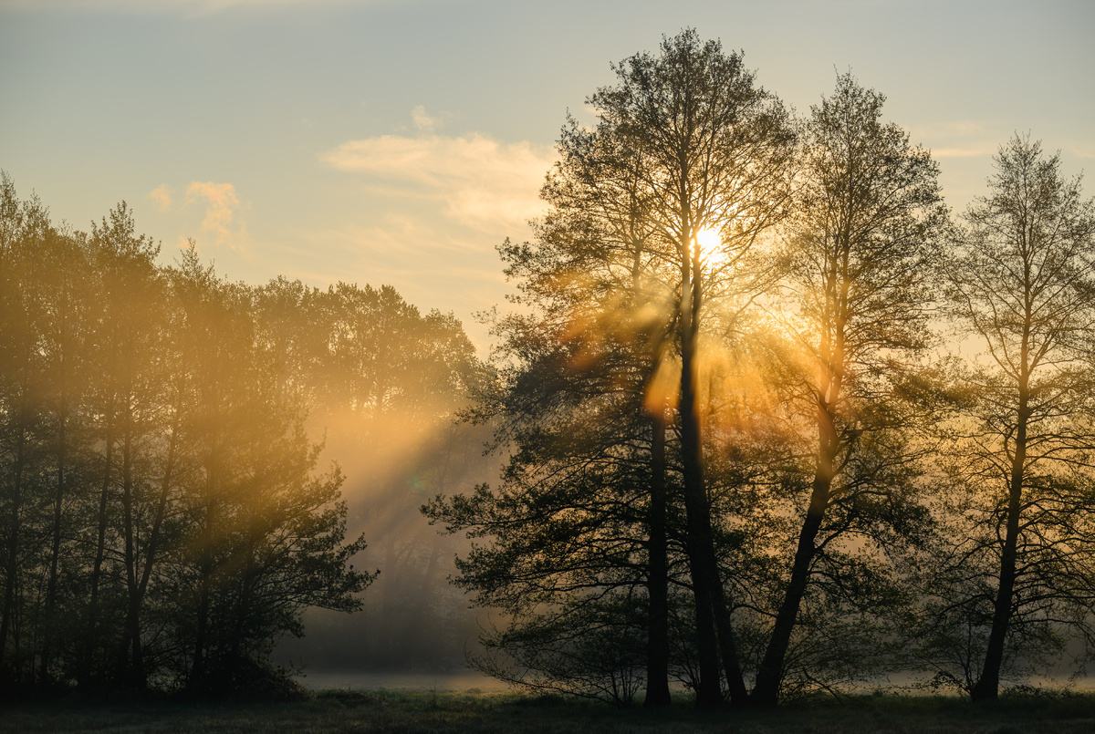 фото: Patrick Pleul/dpa