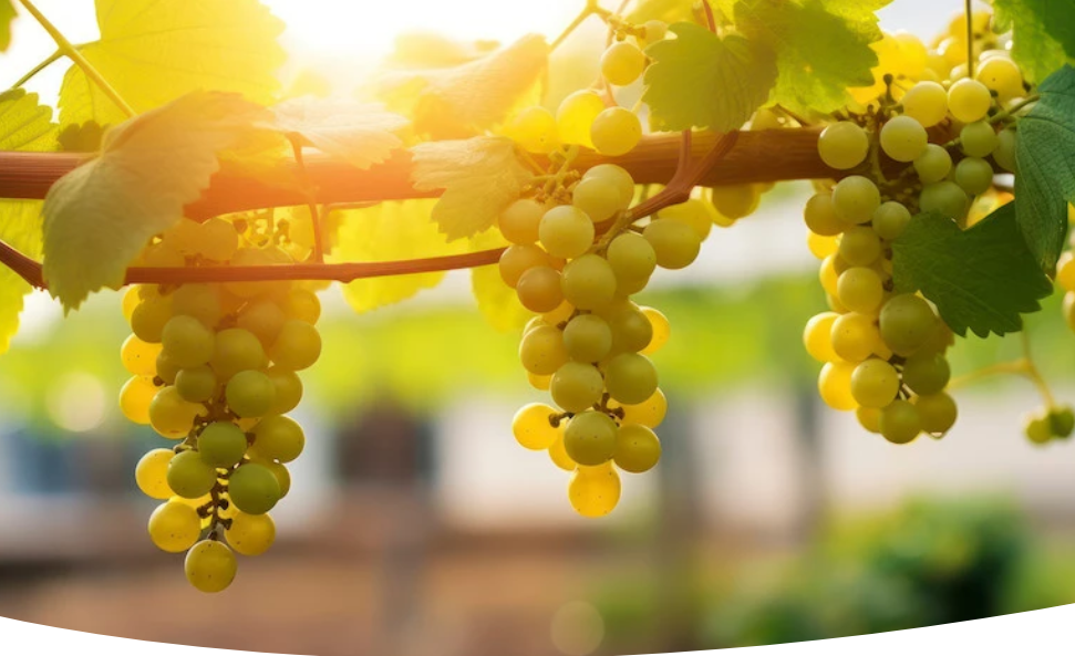 
фото 123RF/coco86