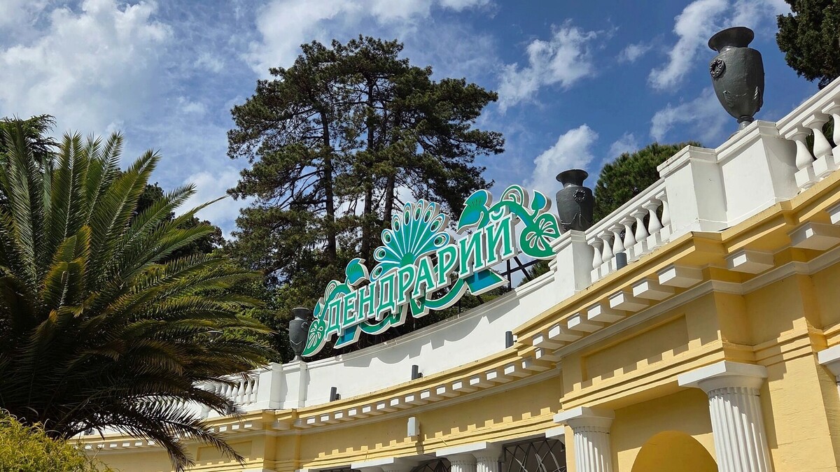     Автор: KubanPress