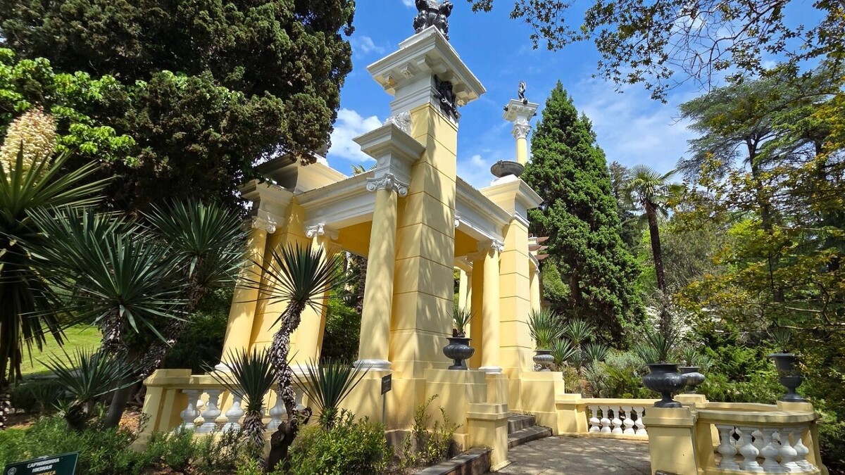     Автор: KubanPress