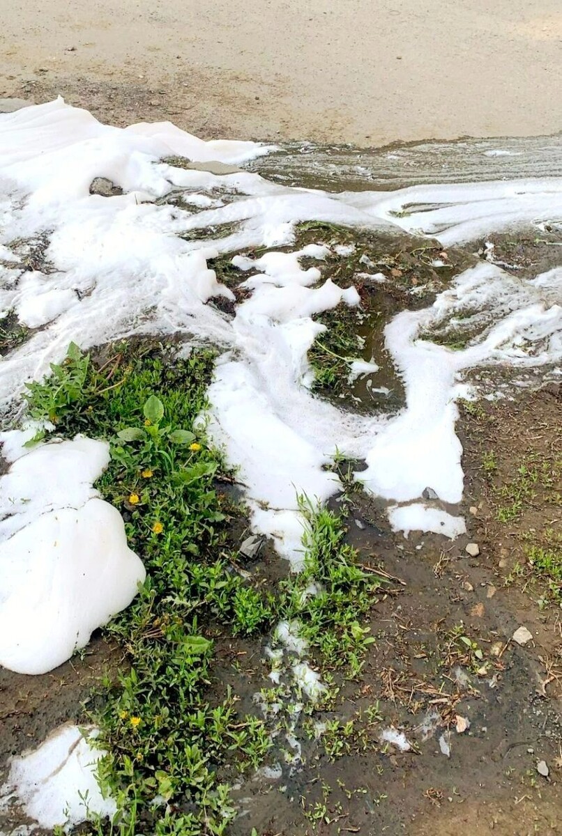     Источник: nazarovLife/Телеграм