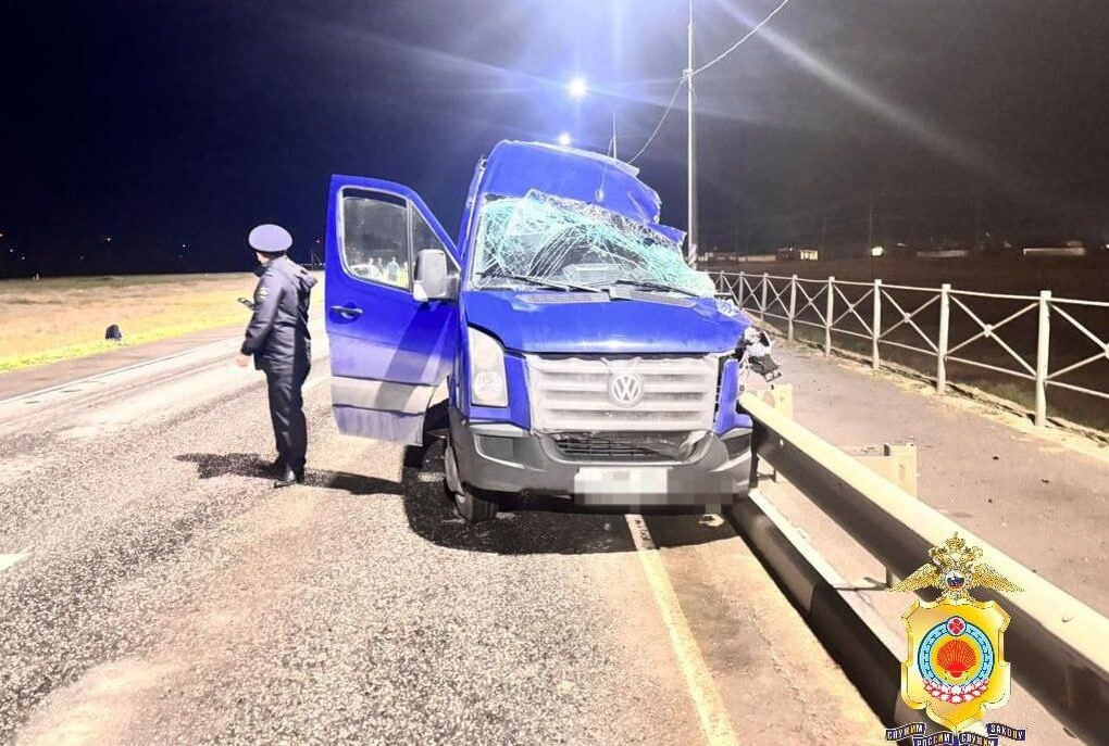     / Источник: МВД Калмыкии