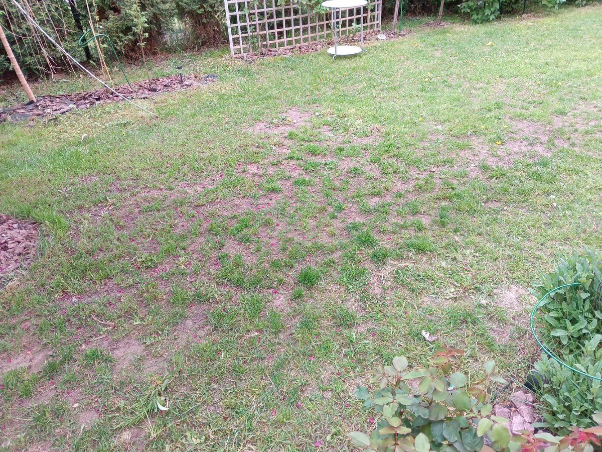 До землевания ГАЗОН