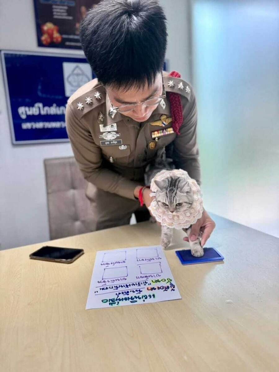 Инспектор Да, рискуя жизнью, снимает отпечатки подушечек  для полицейской базы. 