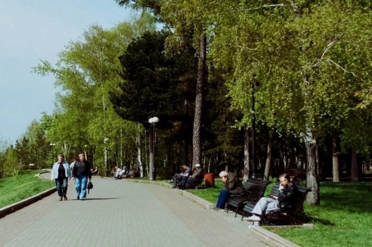    До +16 градусов нагреется воздух в понедельник в Томске