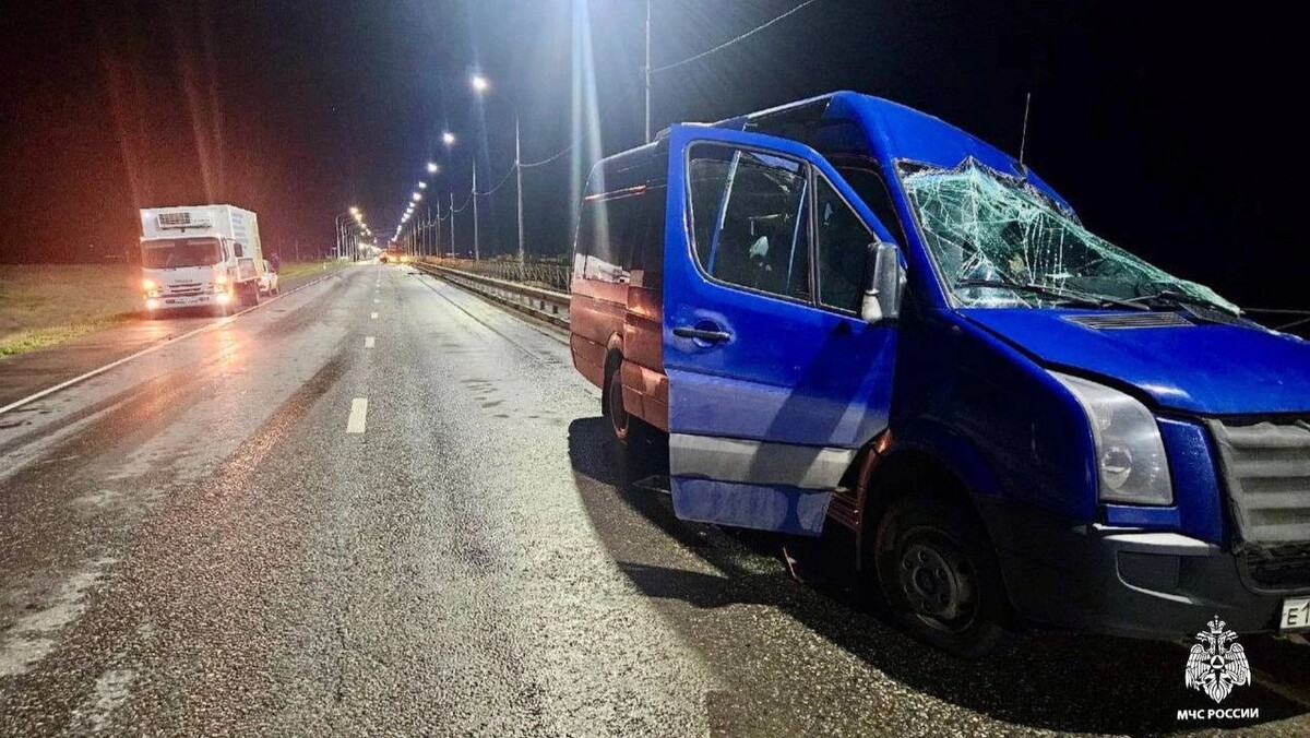    Фото предоставлено пресс-службой ГУ МЧС России по Республике Калмыкия