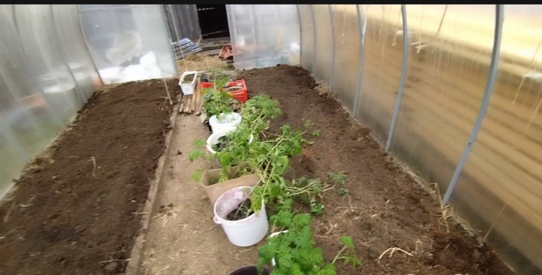 Готовая теплица