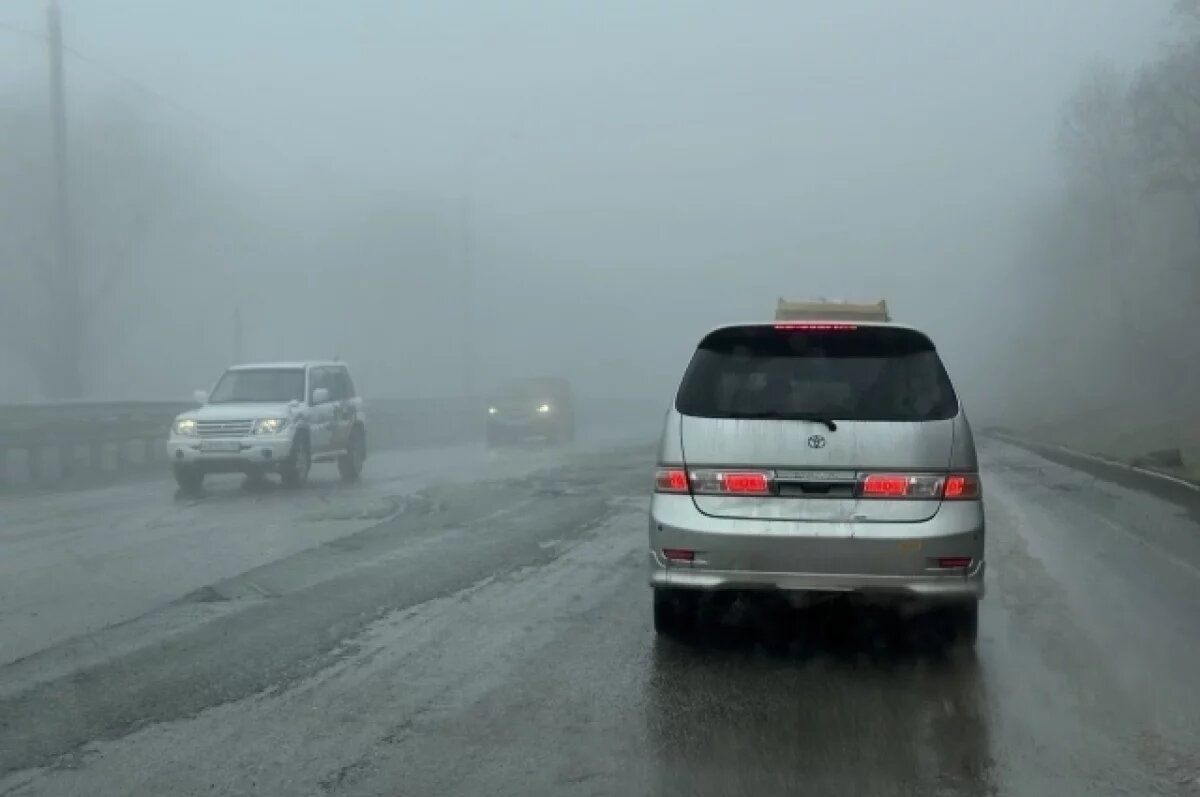    Густой туман и осадки ухудшили видимость на дорогах Петропавловска