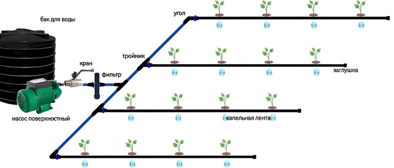 Схема подключения автополива может выглядеть так