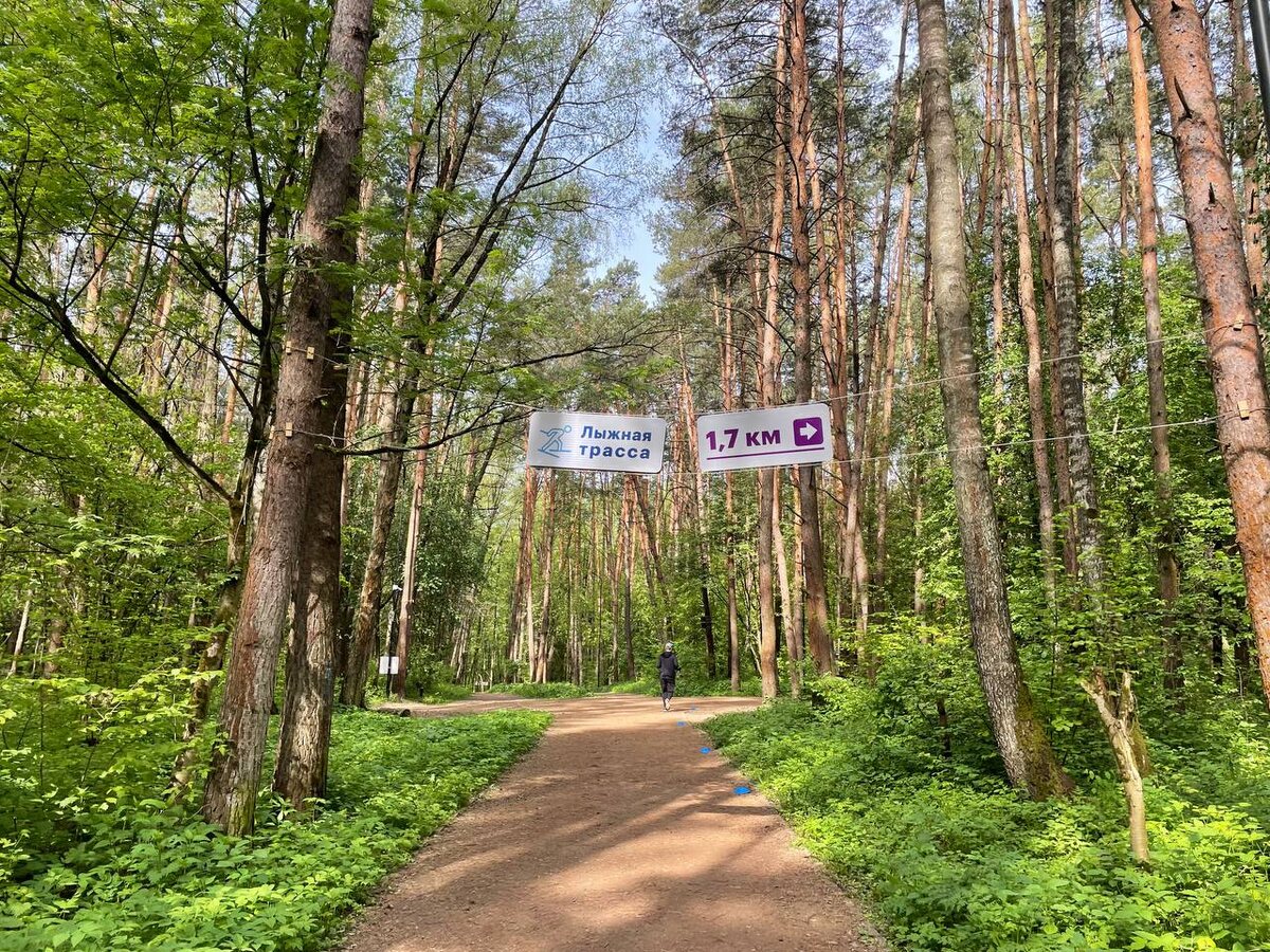 Разметка лыжной трассы