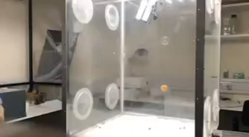    Выяснилось, что если выключить пчелам свет, они тут же перестают летать