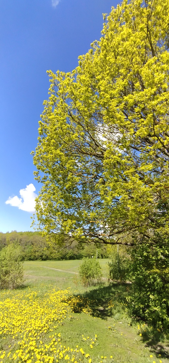 Личное фото