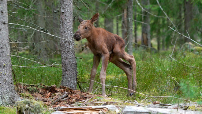 Фото: Станислав Крутоверцев