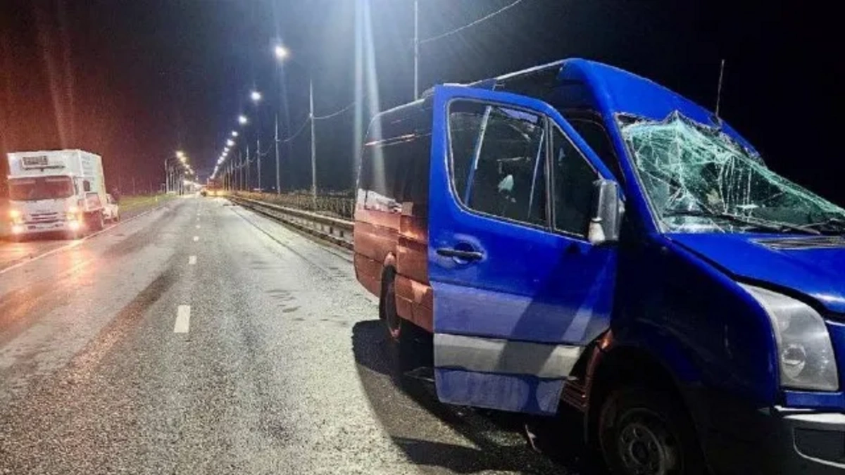 В Калмыкии в ДТП с микроавтобусом погибли 7 человек