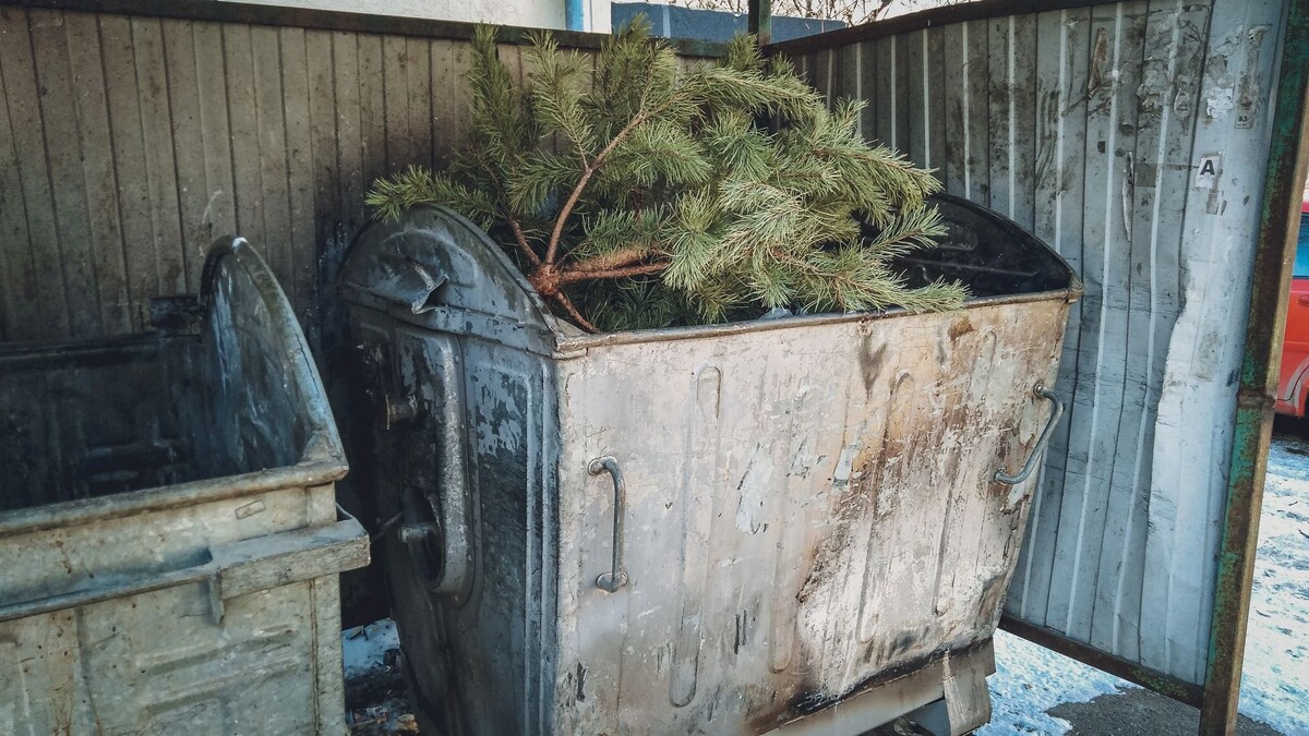     Источник: 1MI