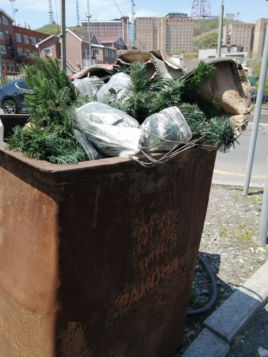     Источник: vostokmedia.com