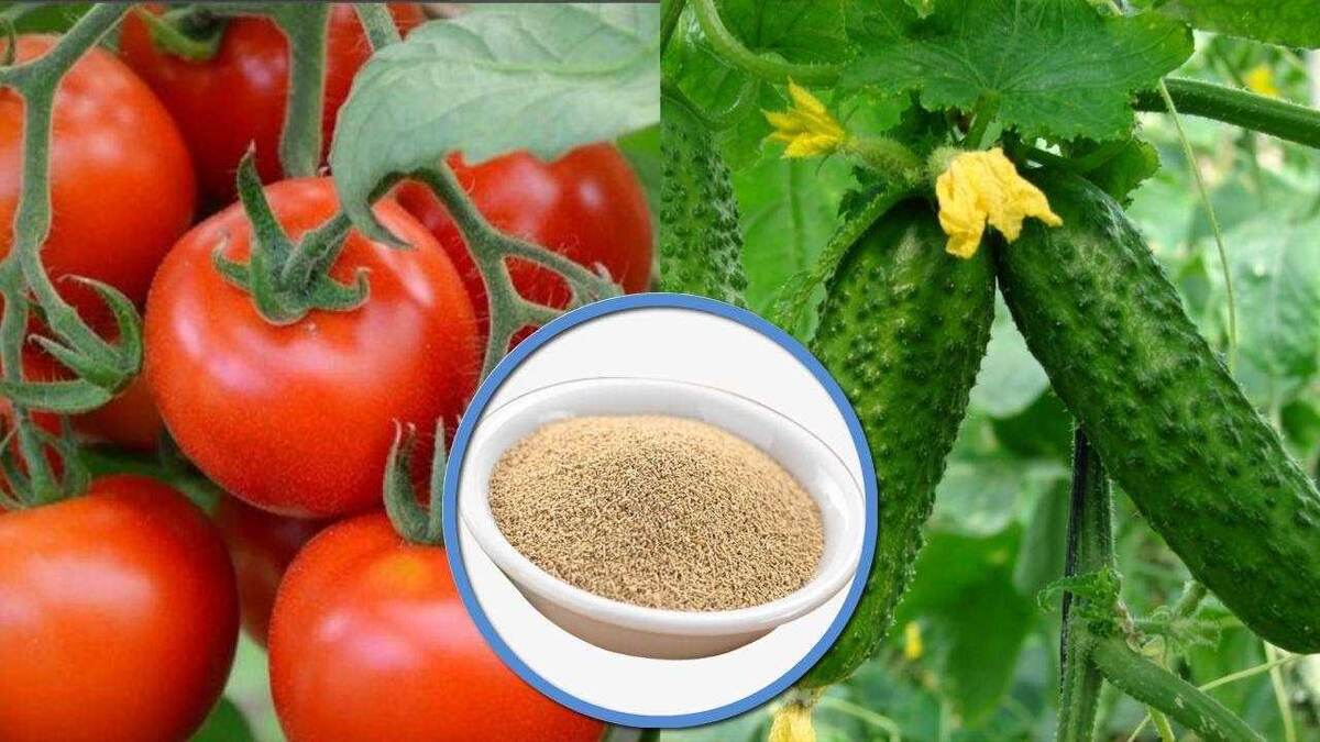 Результат на лицо .