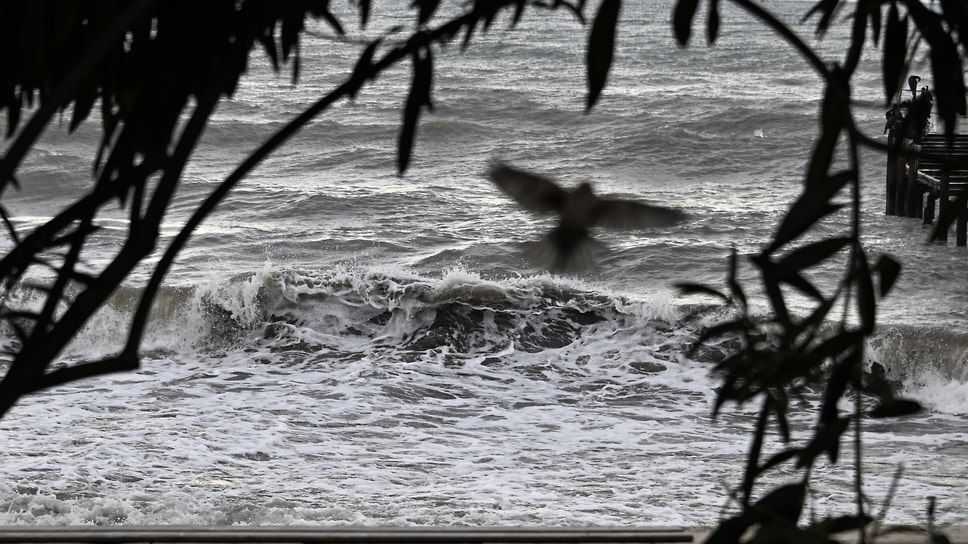 Фото: Анатолий Жданов / Коммерсантъ