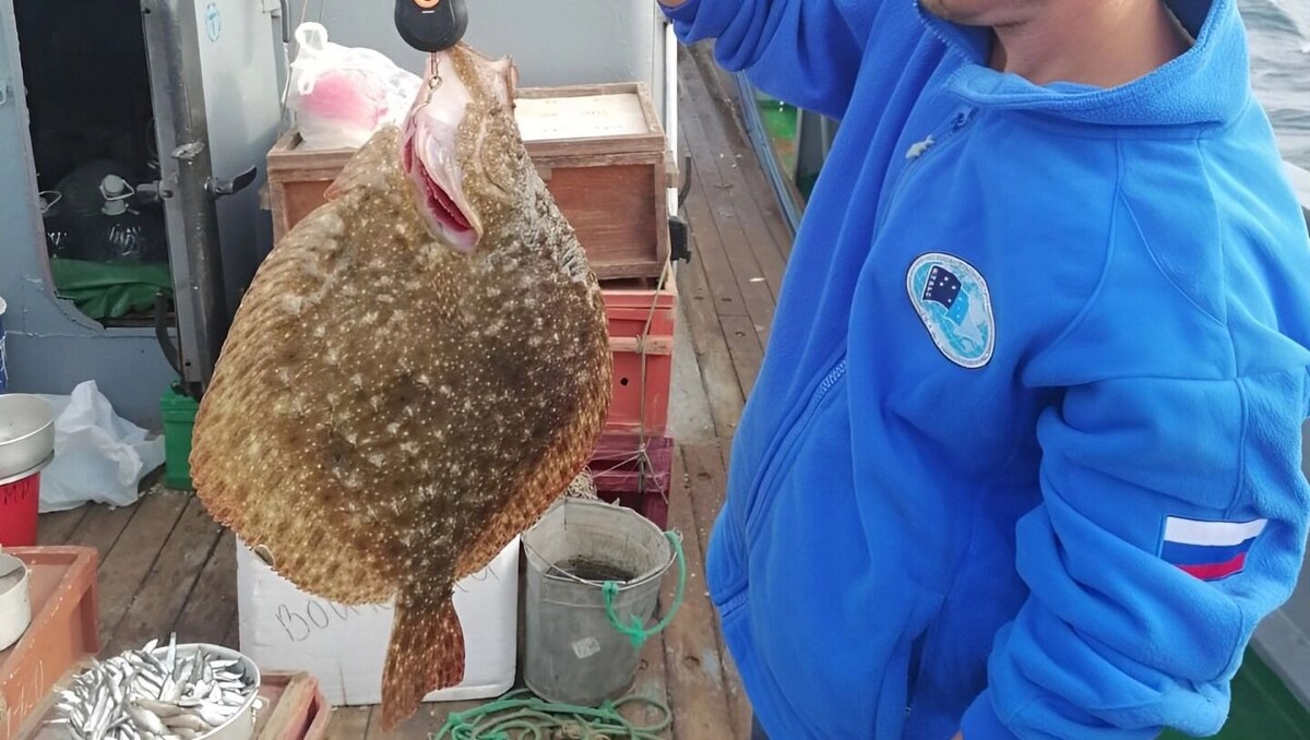     Источник: Росрыболовство