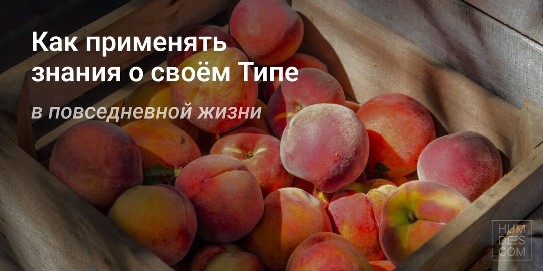 Как применять знания о своём Типе в повседневной жизни