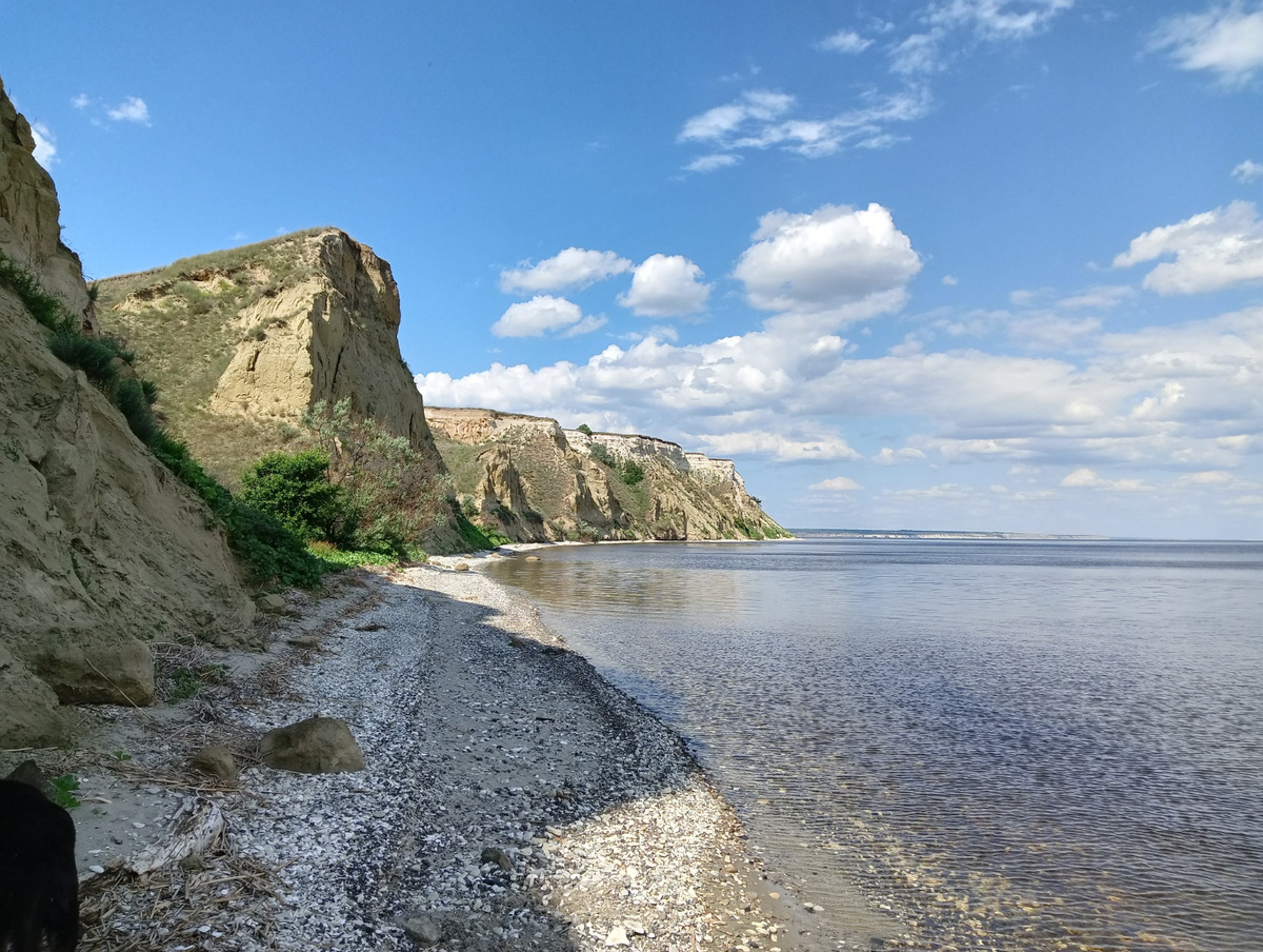 Яндекс Картинки.