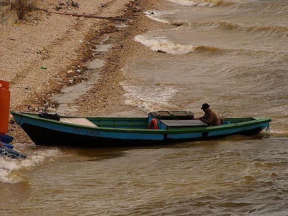 Яндекс Картинки.