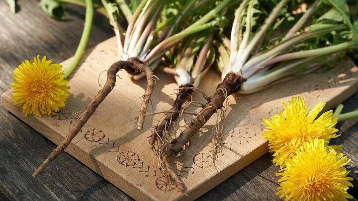  Фото: Shutterstock