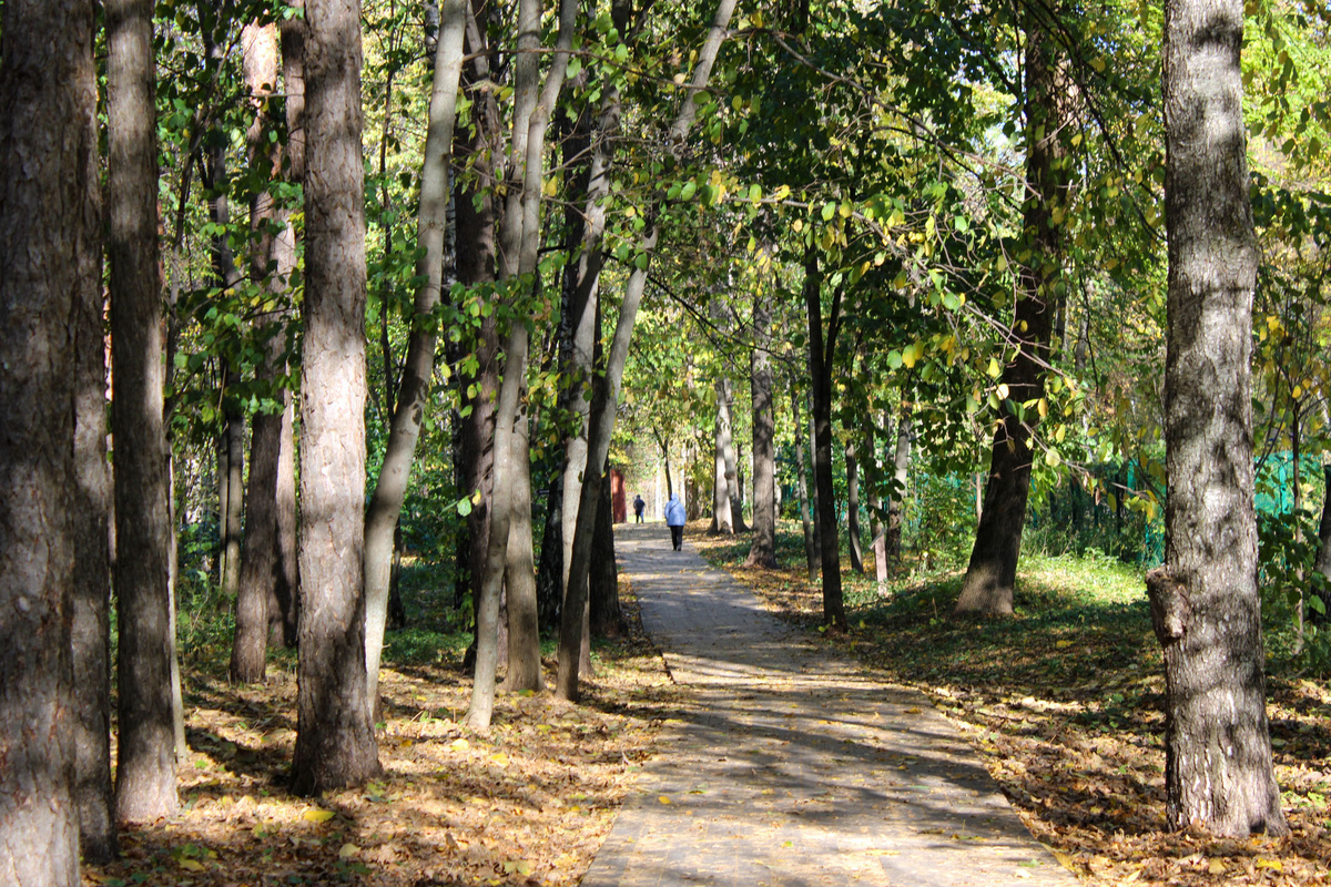 Парк благоустроят.  Фото: Фото: ФедералПресс / Ксения Кобалия