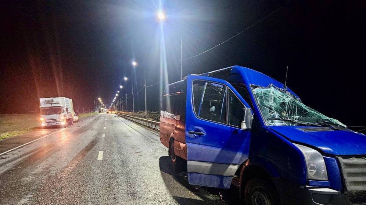    Фото: Telegram / МЧС Республики Калмыкия