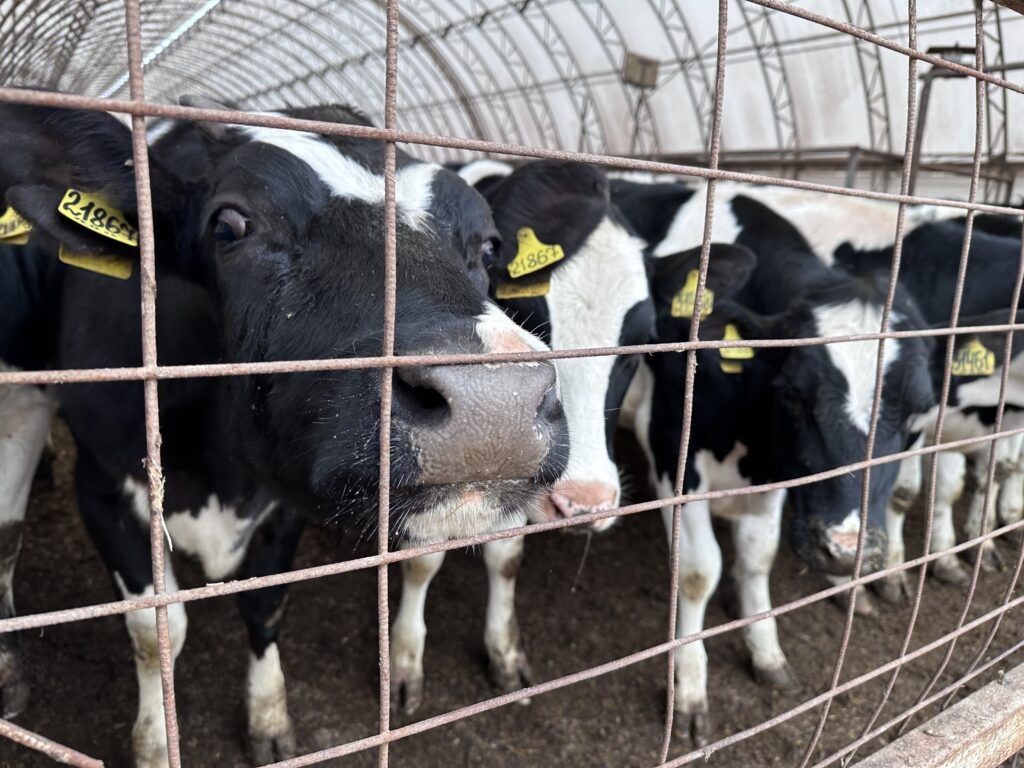    Фото: В курсе.ру Ульяна Бажанова