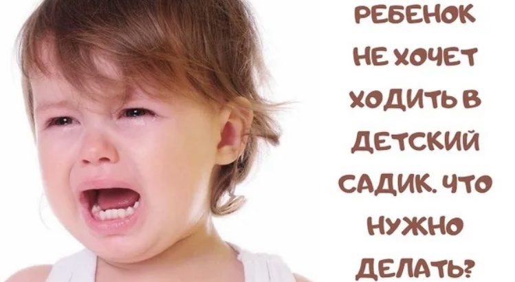 Фото с просторов интернета 