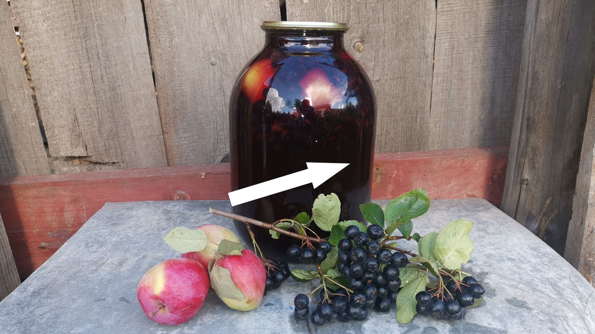    Бабушкин секрет компота из черноплодки с ванилью и гвоздикой