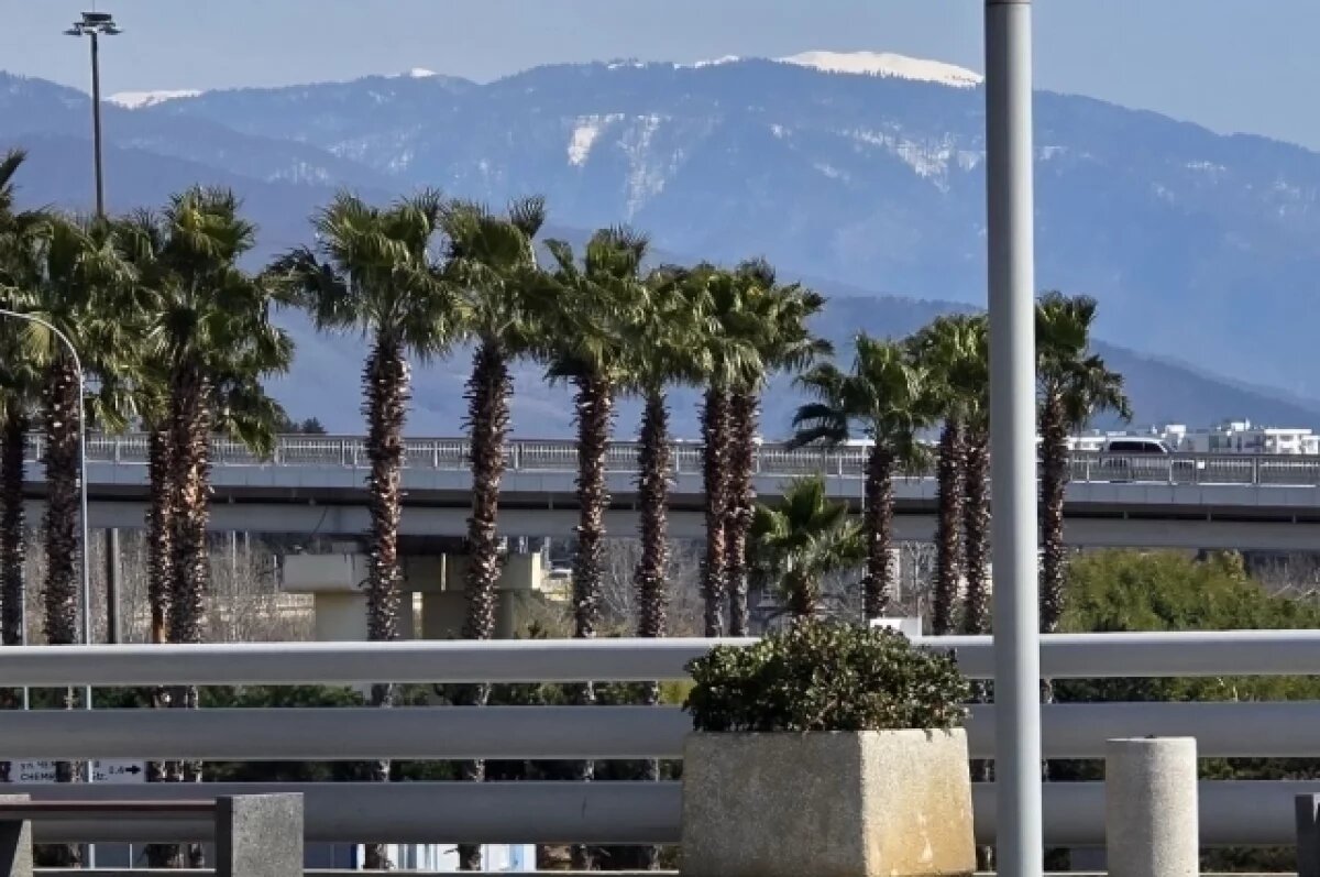    В Сочи спрогнозировали порывистый ветер до 19 м/с и полутораметровые волны