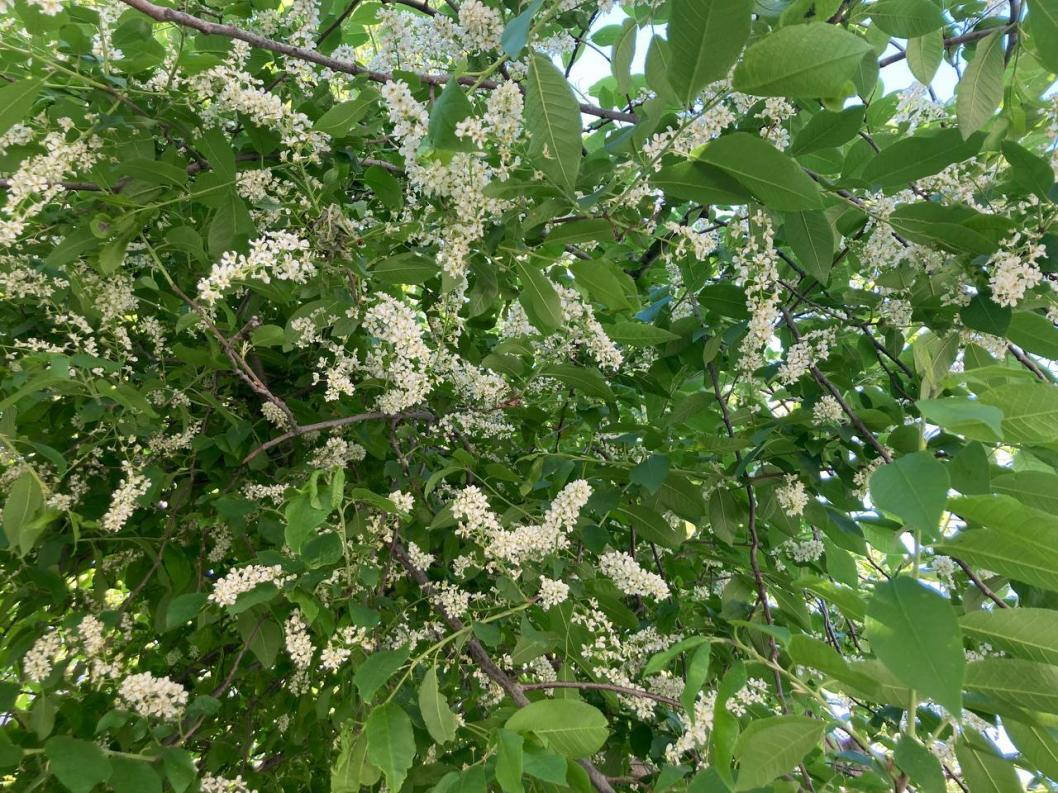 Фото: Информационный центр правительства Тюменской области