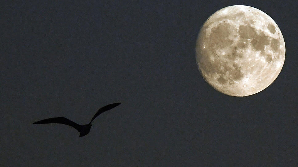 Фото: Виктор Коротаев / Коммерсантъ