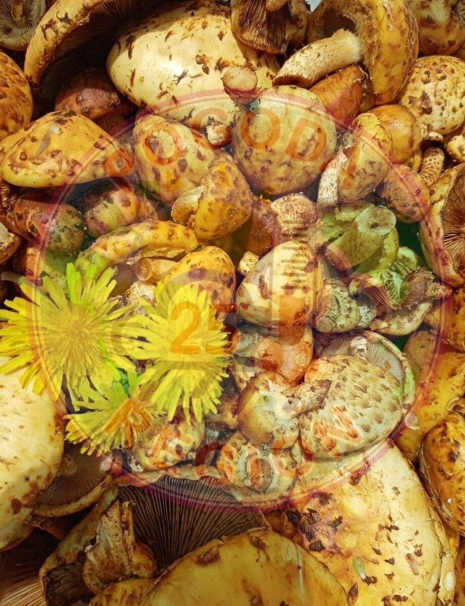     Источник: pogoda_25_region