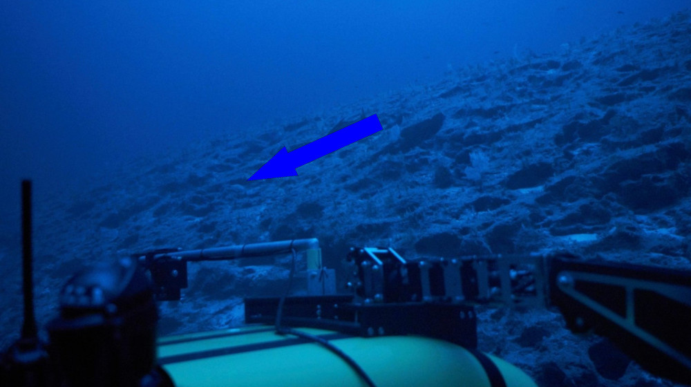    Тайные звуки океана НЛО или предвестник катастрофы