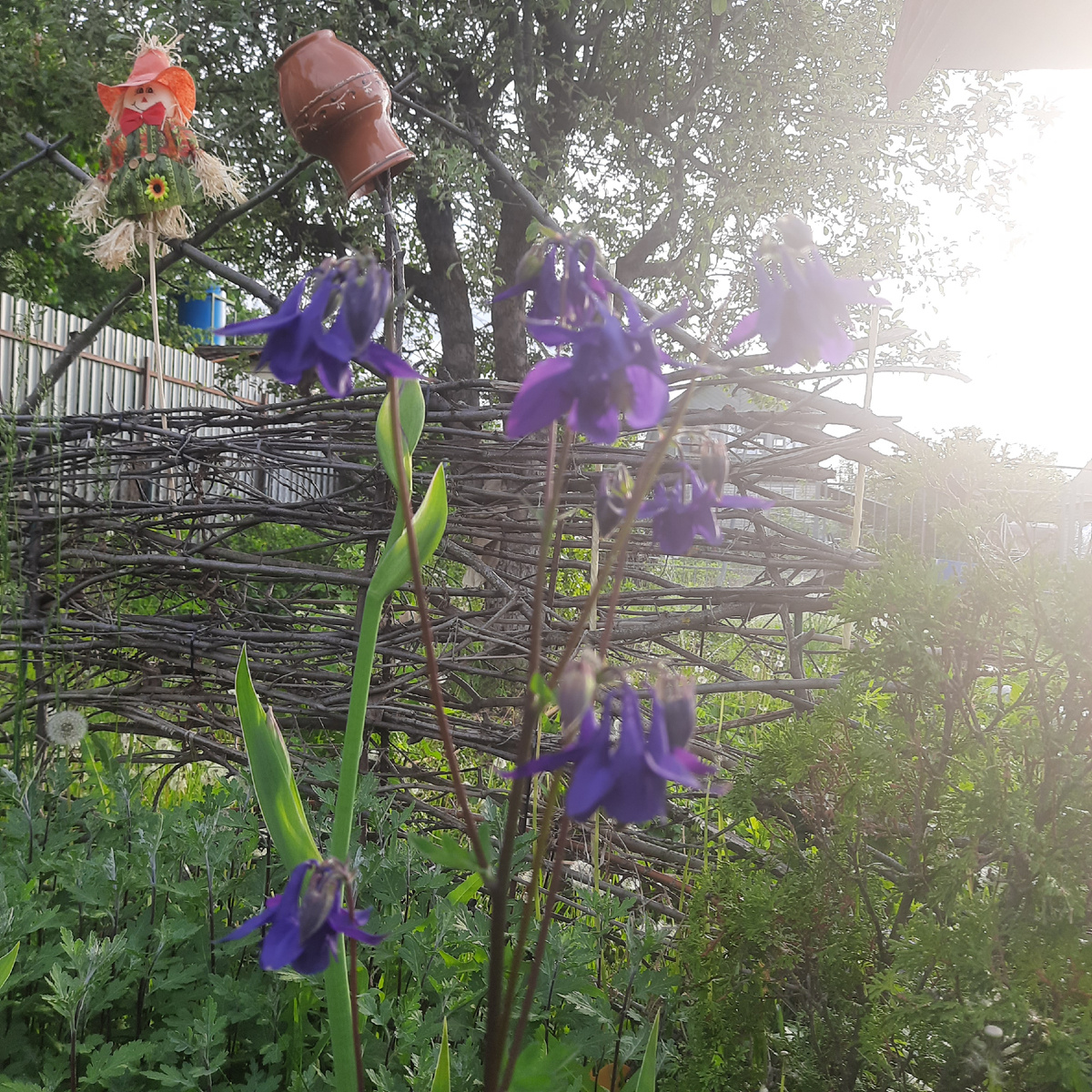 За плетнем- огород