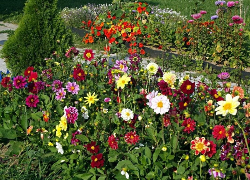 Помните такие клумбы?