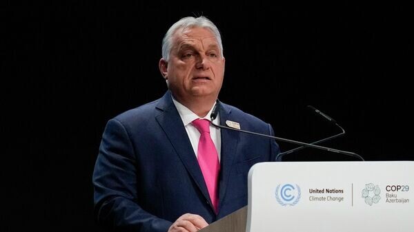    © AP Photo / Rafiq Maqbool