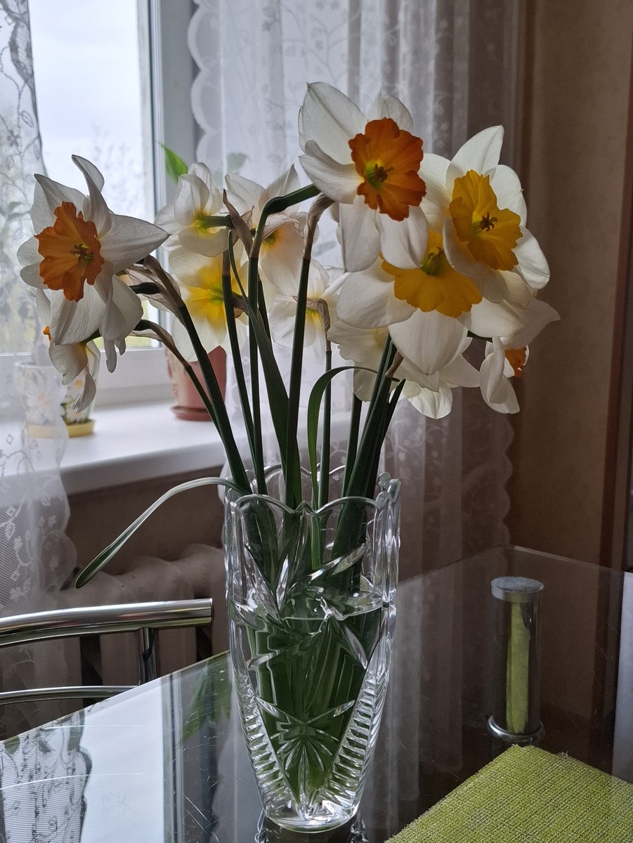 Нарциссы в вазе 