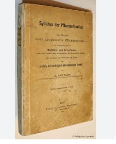 Открытые источники. «Естественная система семейств растений». 