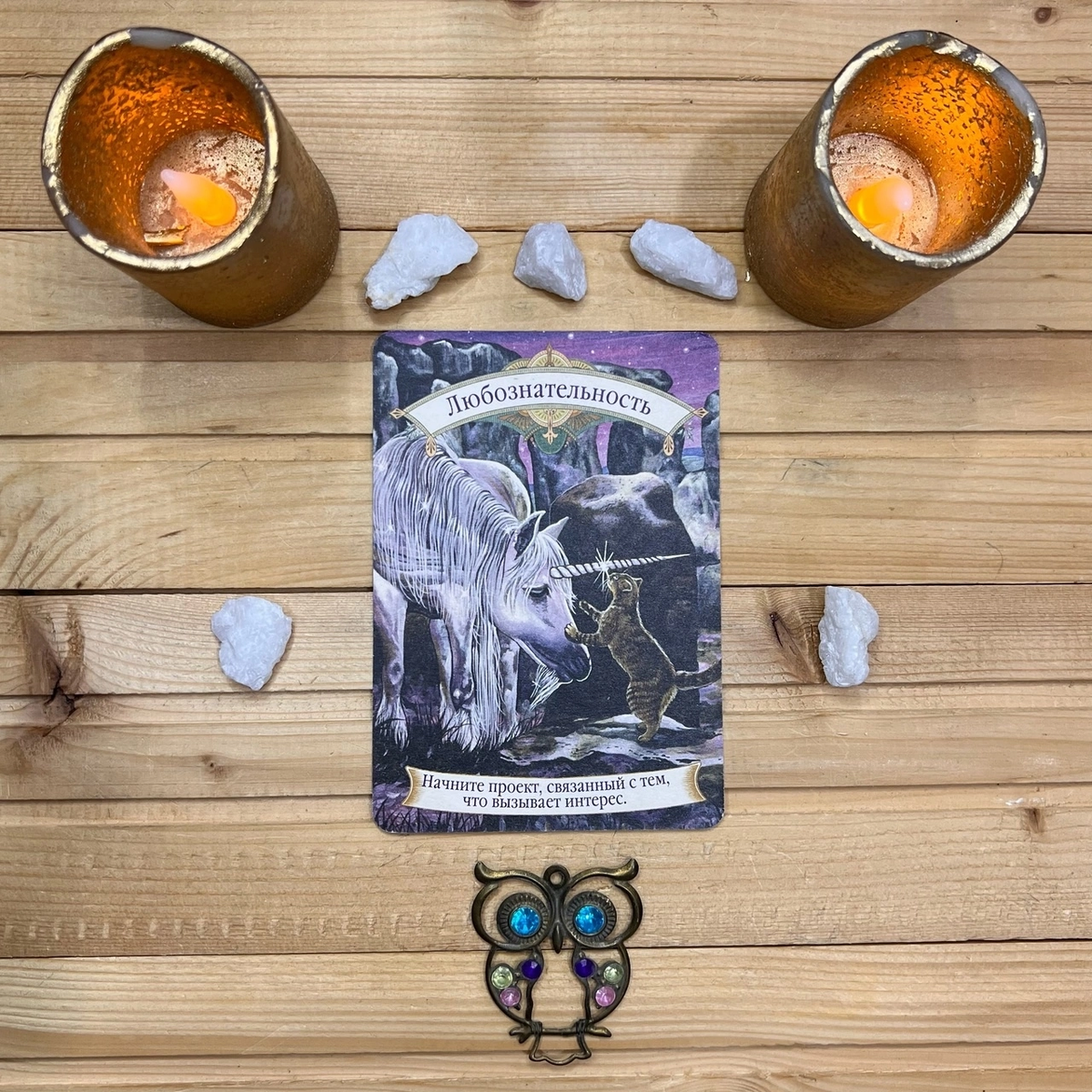 1 карта - Любознательность