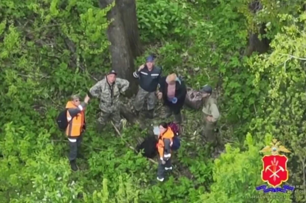    В Кузбассе заблудившуюся в лесу пенсионерку нашли с помощью беспилотника