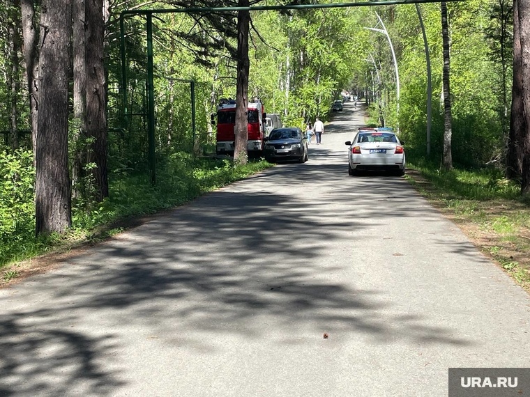Фрагмент воздушного судна нашли в бору. Фото: Вадим Ахметов © URA.RU