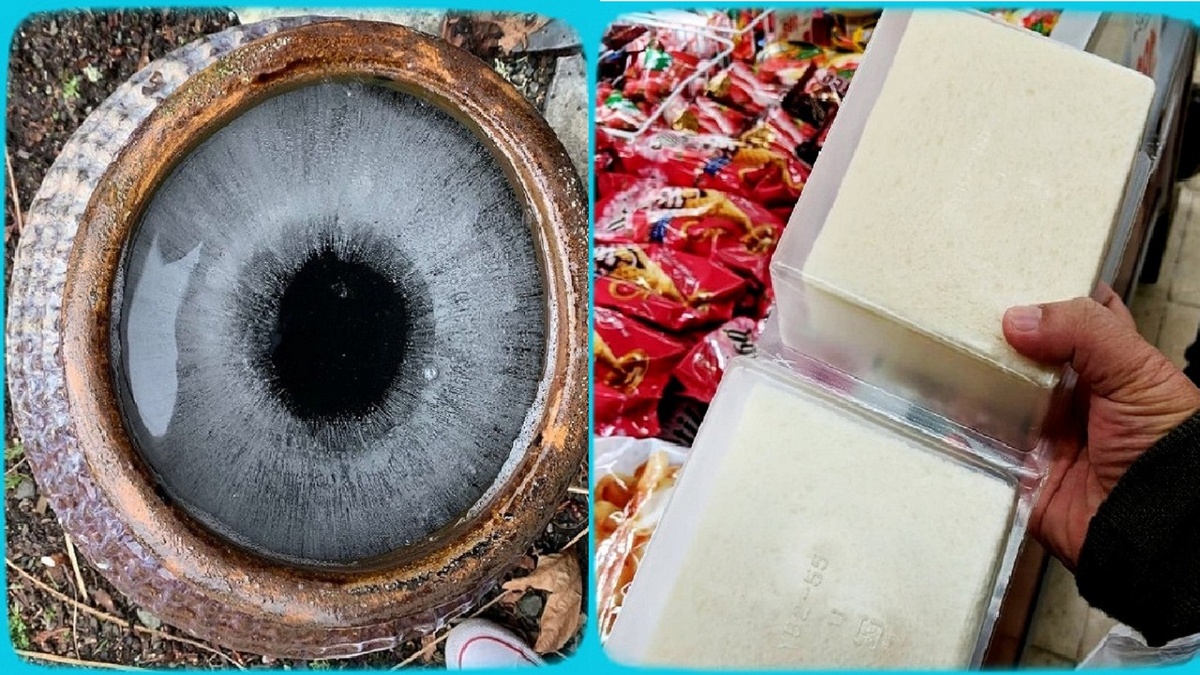 16 подтверждений, что наш мир выглядит совсем иначе, если посмотреть с другого ракурса