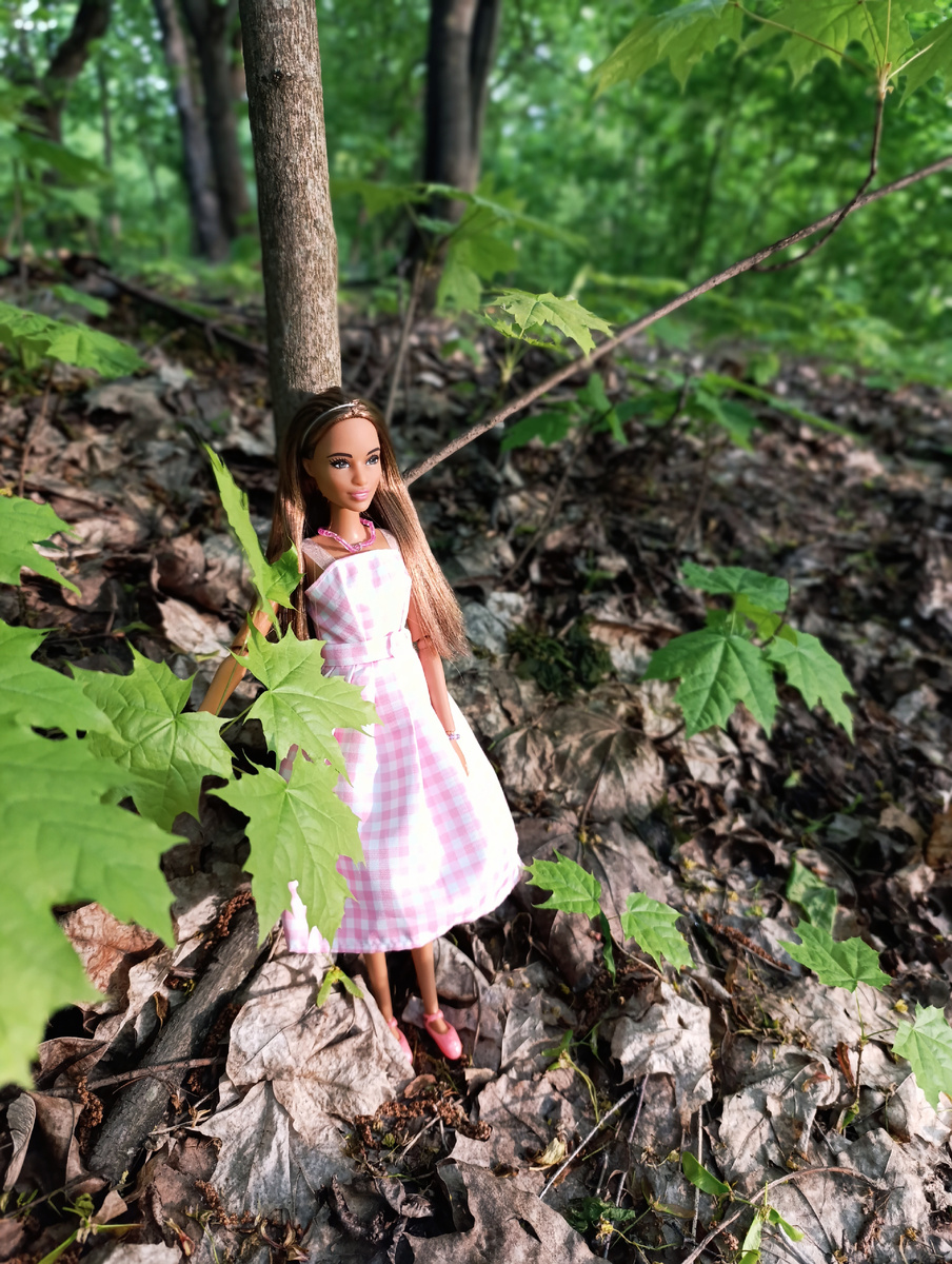 Barbie лыжница- параолимпиец