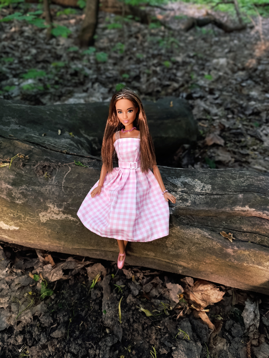 Вечерняя прогулка Луны